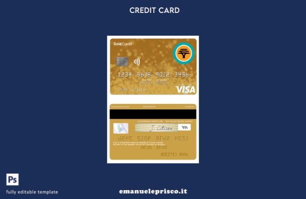 stile verificato Modello di carta visto di credito oro Namibia First National Ba